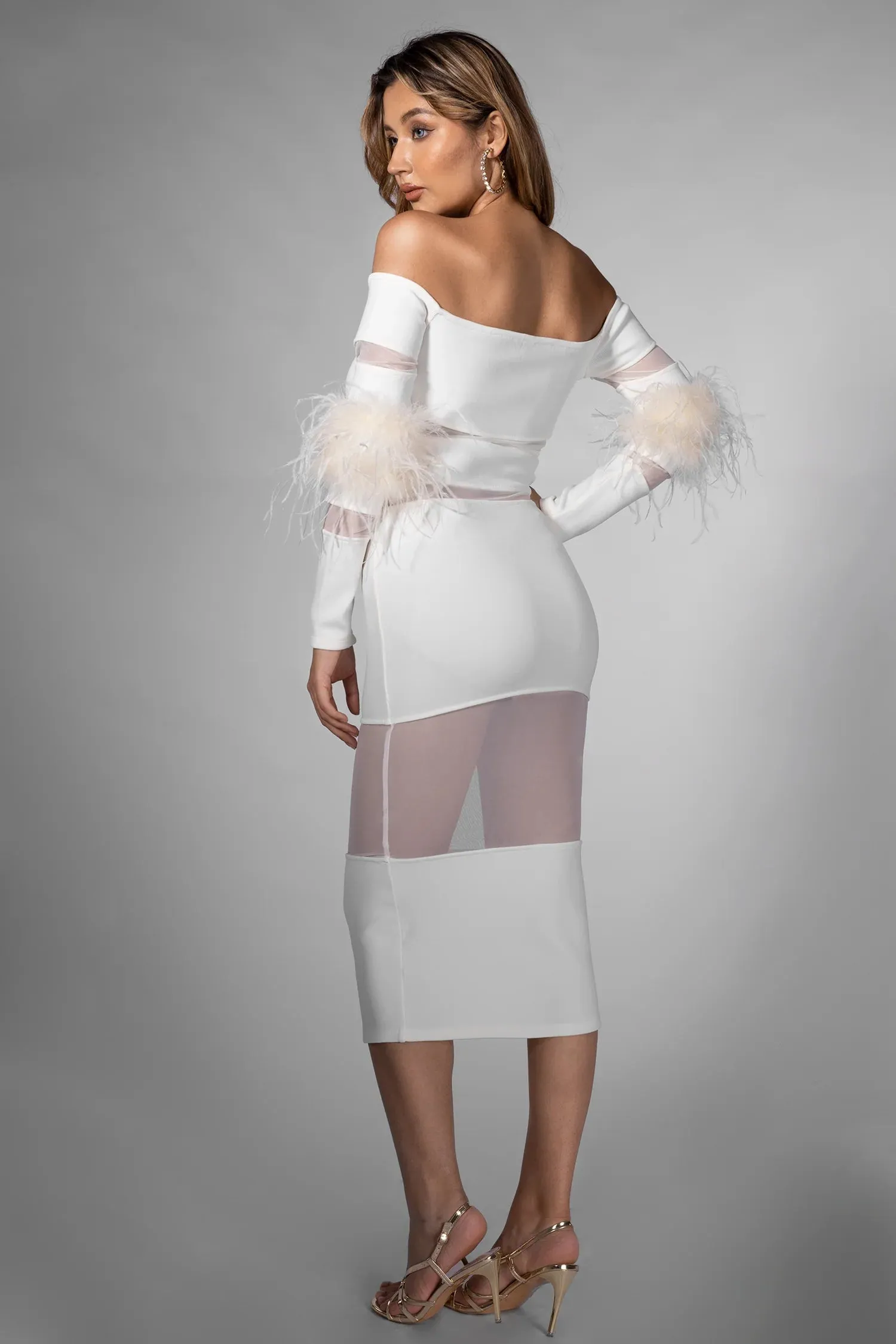 Brisen Feather Long Sleeve Mesh Dress