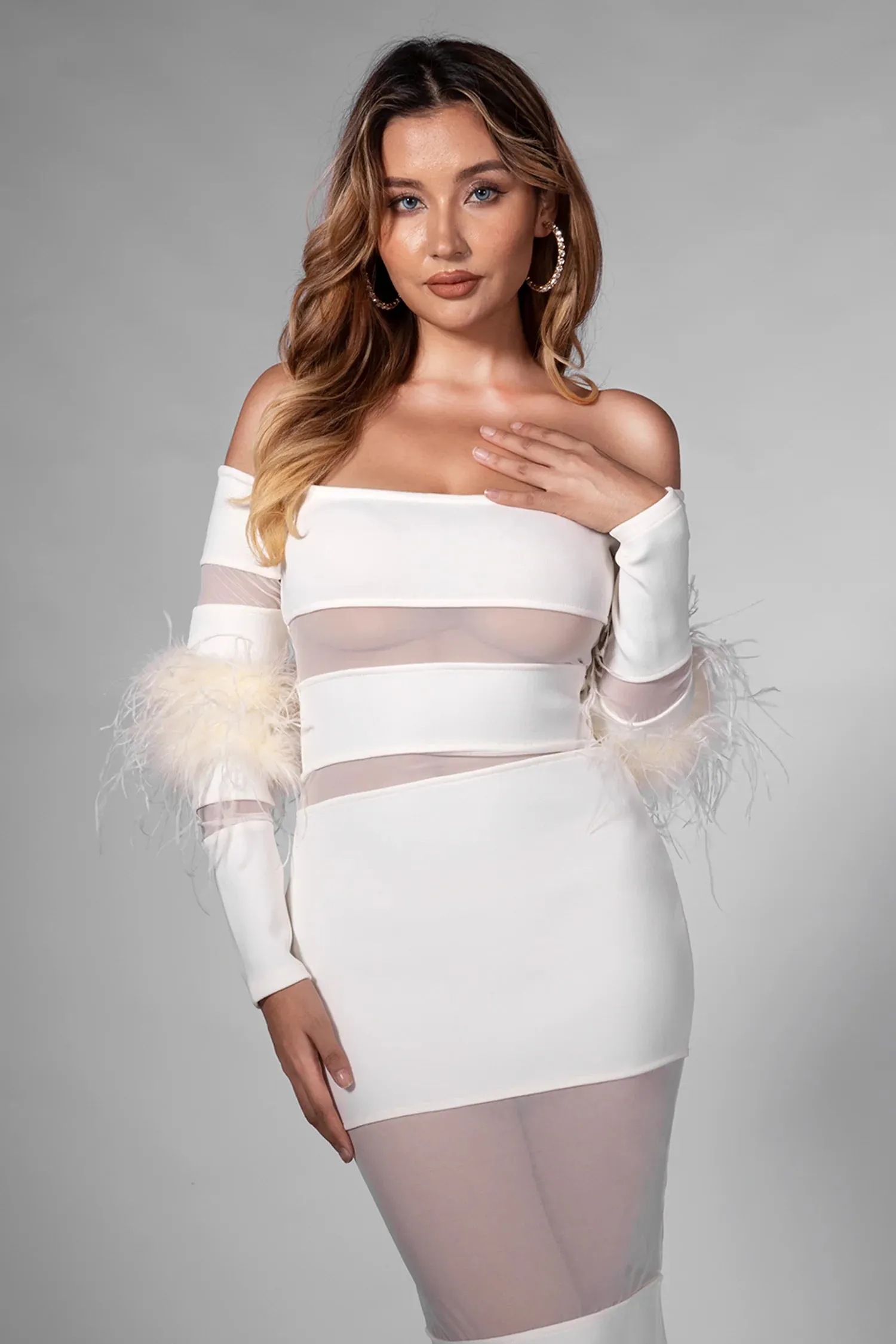 Brisen Feather Long Sleeve Mesh Dress