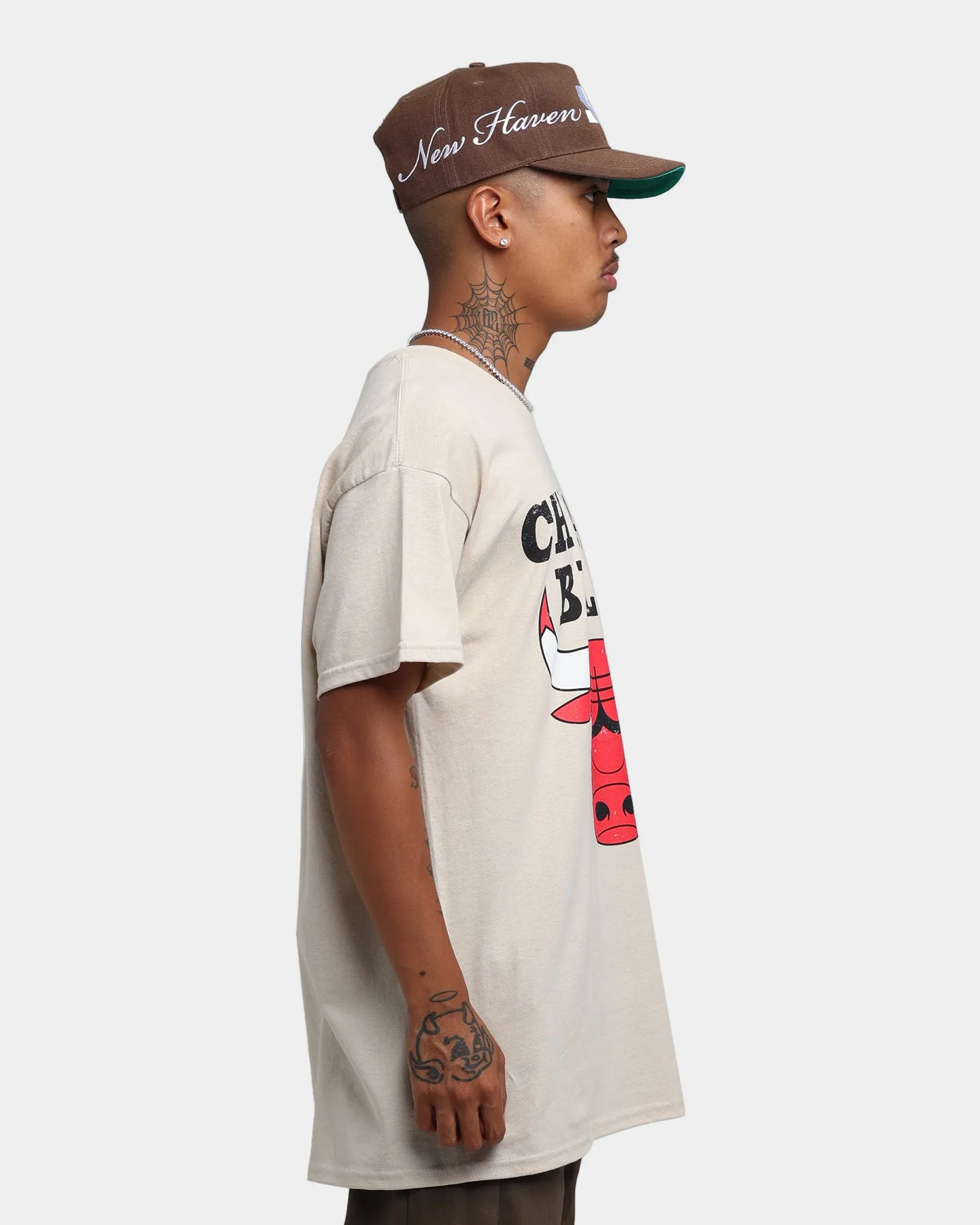Mitchell & Ness Chicago Bulls Sandstone Team Logo T-Shirt Stone