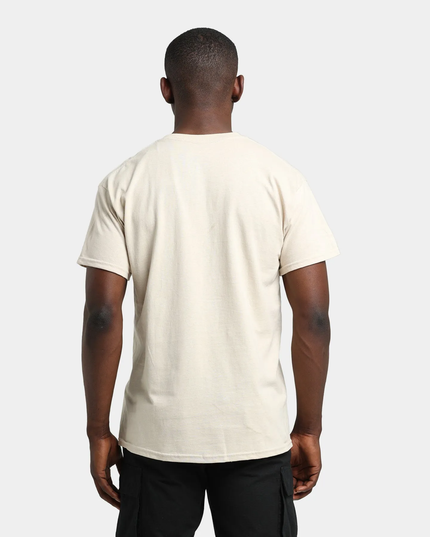 Mitchell & Ness Las Vegas Raiders Sandstone Team Logo T-Shirt Stone